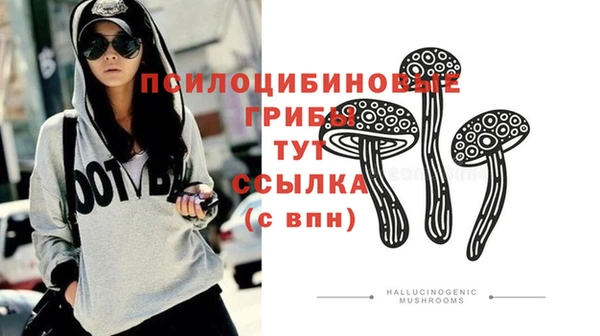 прущие крисы Баксан