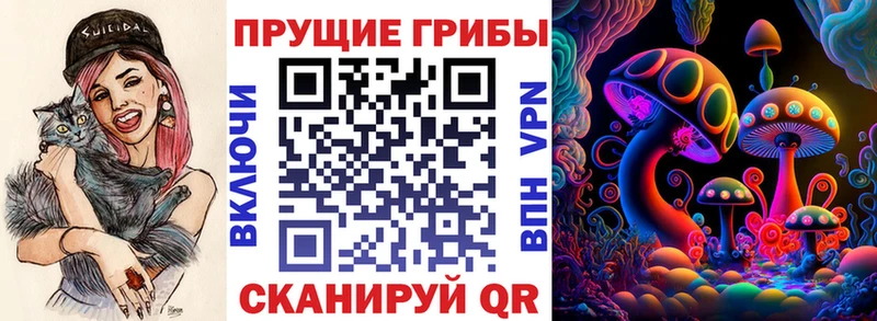 Псилоцибиновые грибы мицелий  Кыштым 